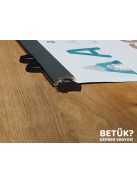 Iskolai képes ABC óriástabló