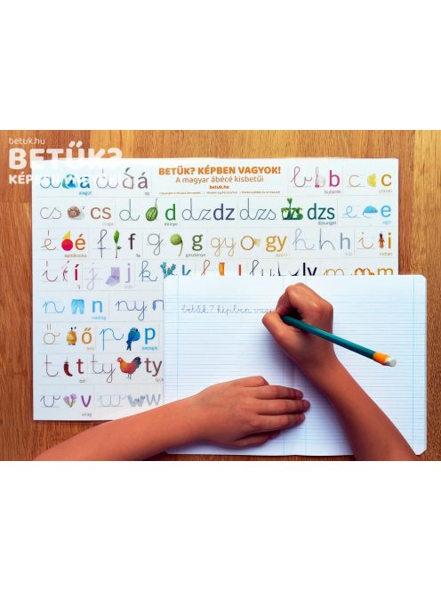 Sulis pakk I. (könyv + kártya + könyöklő kisbetűk)