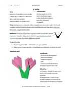 BETŰSIMOGATÓ e-book