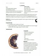 BETŰSIMOGATÓ e-book