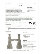 BETŰSIMOGATÓ e-book