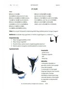 BETŰSIMOGATÓ e-book